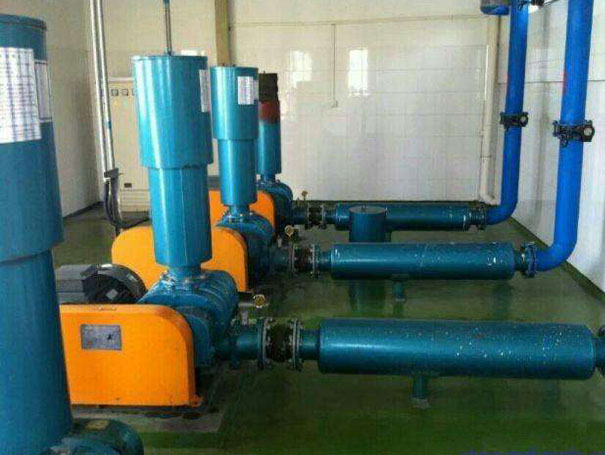 氣力輸送羅茨鼓風(fēng)機(jī)案例 氣力輸送羅茨鼓風(fēng)機(jī)案例