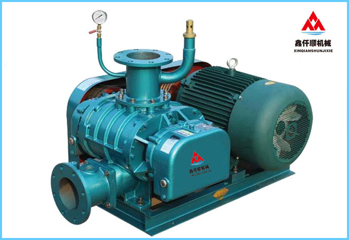 XQSSR-300V(VH)羅茨真空泵