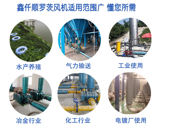 污水處理曝氣羅茨風(fēng)機(jī)適用范圍廣 污水處理曝氣羅茨風(fēng)機(jī)適用范圍廣